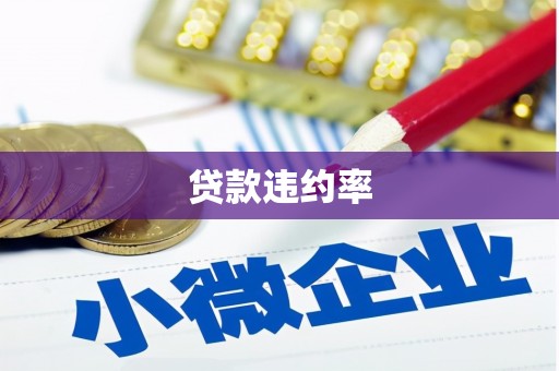 巍山贷款违约率