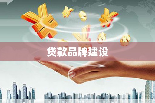 巍山贷款品牌建设