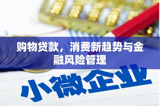 巍山购物贷款，消费新趋势与金融风险管理