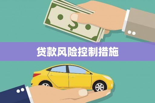 巍山贷款风险控制措施