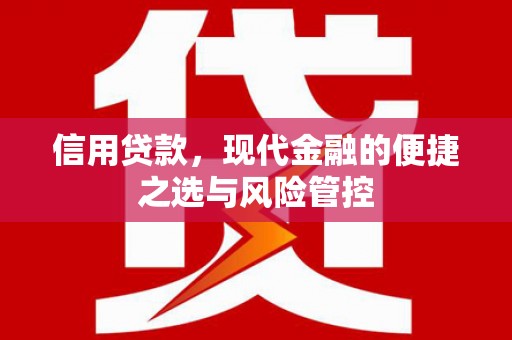 巍山信用贷款，现代金融的便捷之选与风险管控
