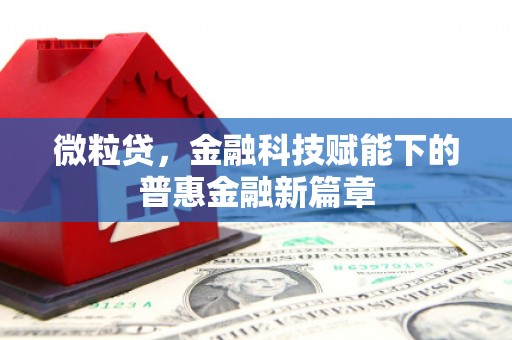 巍山微粒贷，金融科技赋能下的普惠金融新篇章
