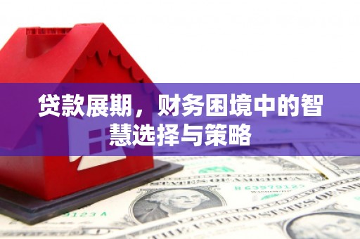 巍山贷款展期，财务困境中的智慧选择与策略