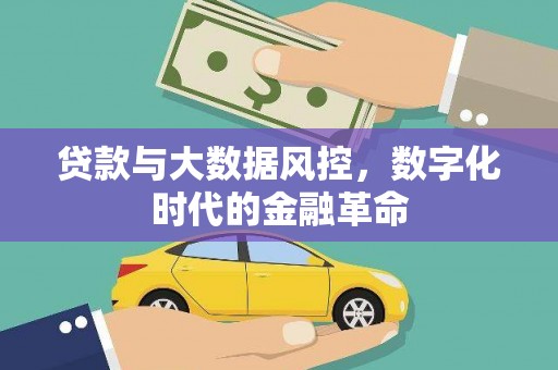 巍山贷款与大数据风控，数字化时代的金融革命
