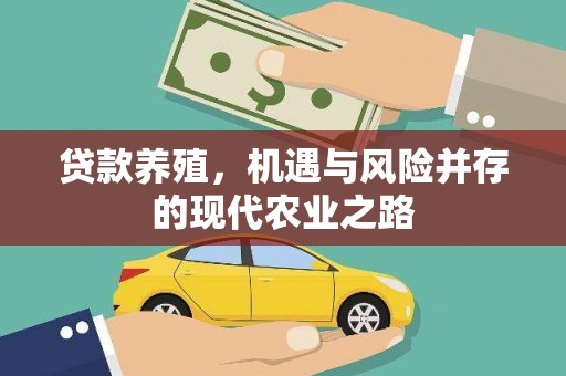 巍山贷款养殖，机遇与风险并存的现代农业之路