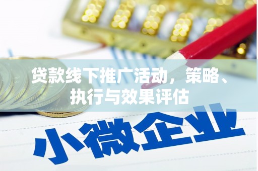 巍山贷款线下推广活动，策略、执行与效果评估