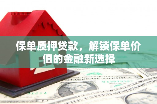 巍山保单质押贷款，解锁保单价值的金融新选择