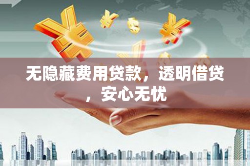 巍山无隐藏费用贷款，透明借贷，安心无忧