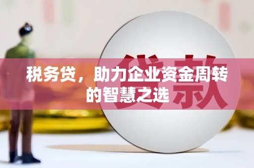 巍山税务贷，助力企业资金周转的智慧之选