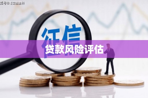 巍山贷款风险评估
