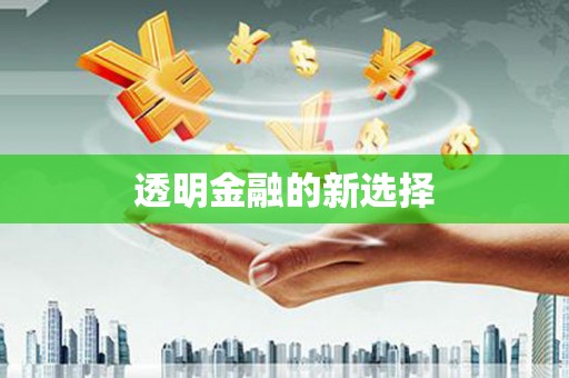巍山透明金融的新选择