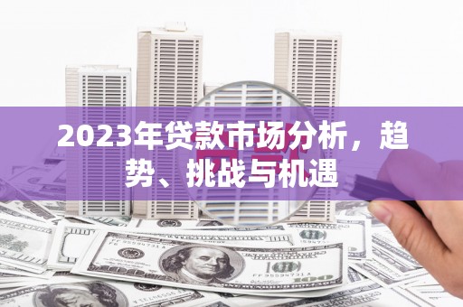 巍山2023年贷款市场分析，趋势、挑战与机遇