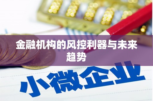 巍山金融机构的风控利器与未来趋势