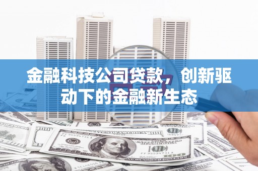 巍山金融科技公司贷款，创新驱动下的金融新生态