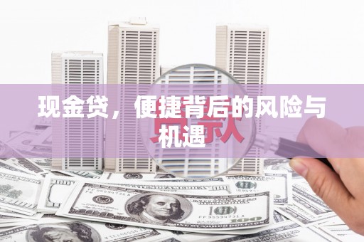 巍山现金贷，便捷背后的风险与机遇