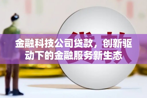 巍山金融科技公司贷款，创新驱动下的金融服务新生态