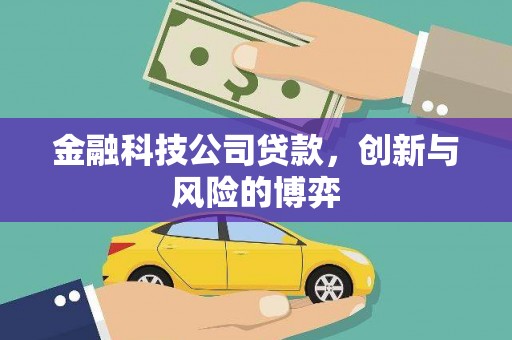 巍山金融科技公司贷款，创新与风险的博弈
