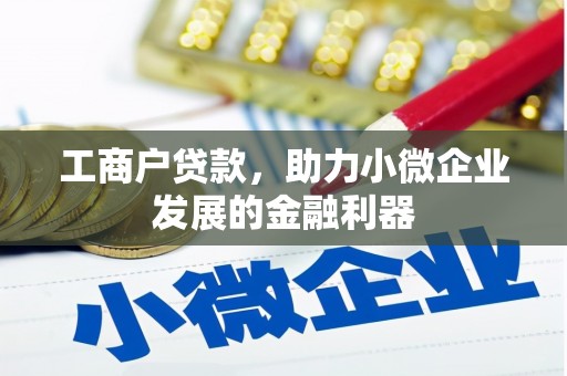 巍山工商户贷款，助力小微企业发展的金融利器