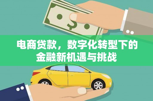 巍山电商贷款，数字化转型下的金融新机遇与挑战