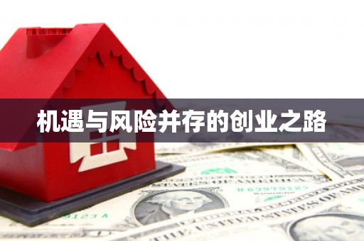 巍山机遇与风险并存的创业之路