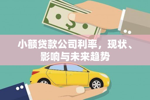 巍山小额贷款公司利率，现状、影响与未来趋势
