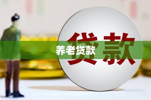 巍山养老贷款