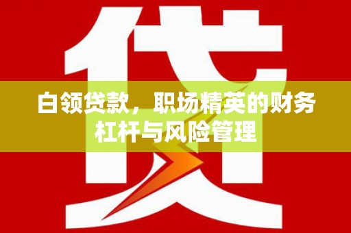 巍山白领贷款，职场精英的财务杠杆与风险管理