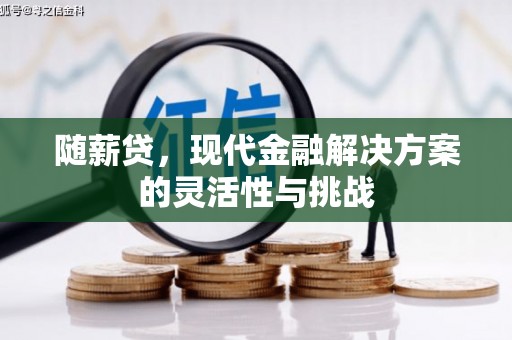 巍山随薪贷，现代金融解决方案的灵活性与挑战