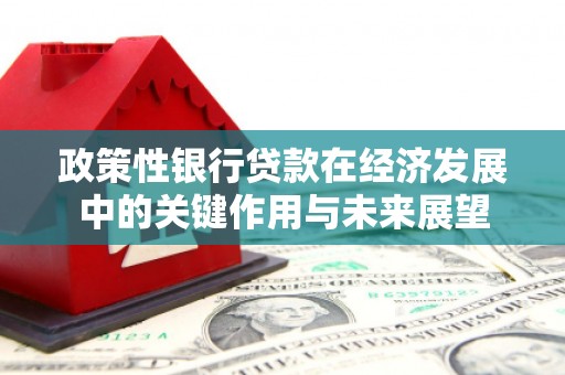 巍山政策性银行贷款在经济发展中的关键作用与未来展望