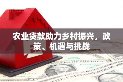 巍山农业贷款助力乡村振兴，政策、机遇与挑战