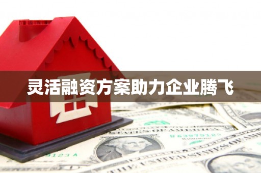 巍山灵活融资方案助力企业腾飞