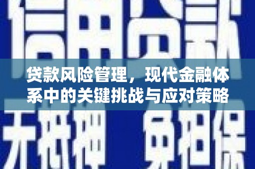 巍山贷款风险管理，现代金融体系中的关键挑战与应对策略