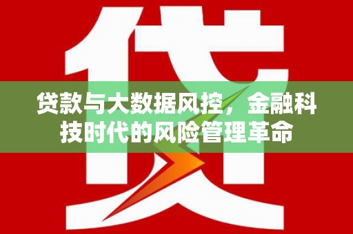 巍山贷款与大数据风控，金融科技时代的风险管理革命