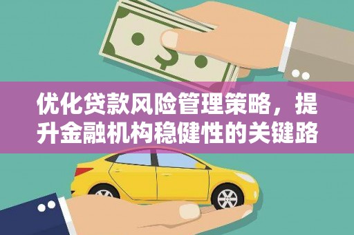 巍山优化贷款风险管理策略，提升金融机构稳健性的关键路径