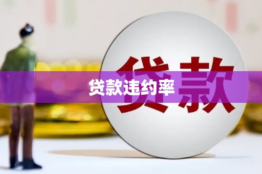 巍山贷款违约率