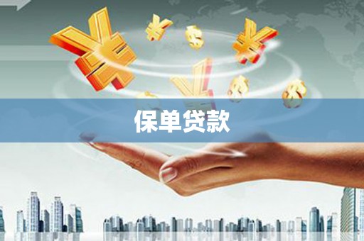 巍山保单贷款