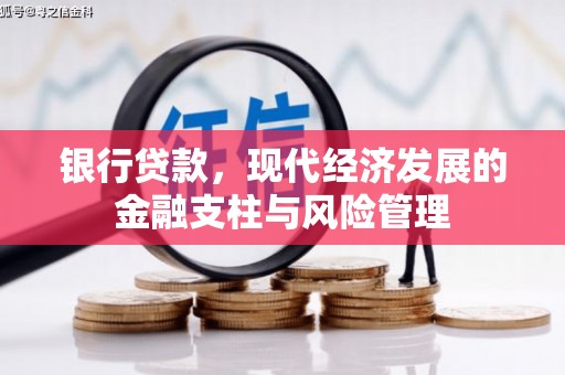 巍山银行贷款，现代经济发展的金融支柱与风险管理