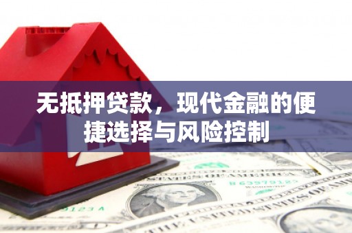 巍山无抵押贷款，现代金融的便捷选择与风险控制