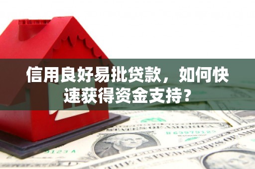 巍山信用良好易批贷款，如何快速获得资金支持？