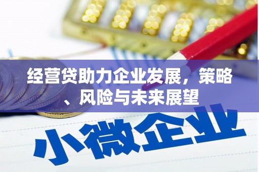 巍山经营贷助力企业发展，策略、风险与未来展望