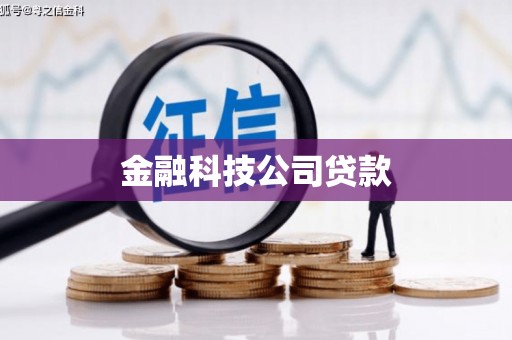 巍山金融科技公司贷款