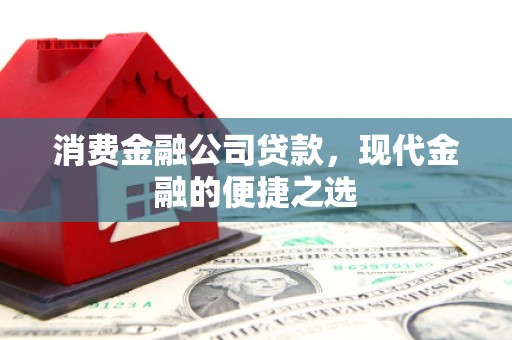 巍山消费金融公司贷款，现代金融的便捷之选