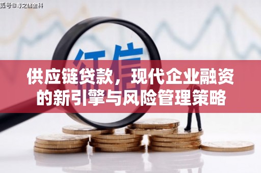 巍山供应链贷款，现代企业融资的新引擎与风险管理策略