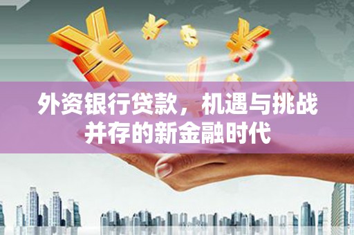 巍山外资银行贷款，机遇与挑战并存的新金融时代