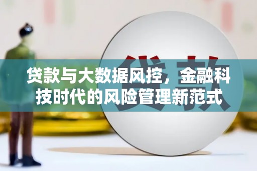 巍山贷款与大数据风控，金融科技时代的风险管理新范式