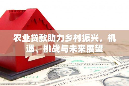 巍山农业贷款助力乡村振兴，机遇、挑战与未来展望