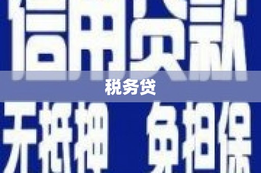巍山税务贷
