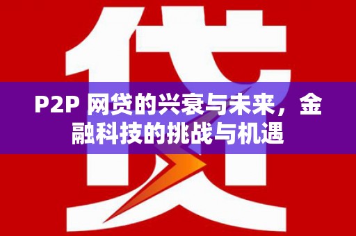巍山P2P 网贷的兴衰与未来，金融科技的挑战与机遇