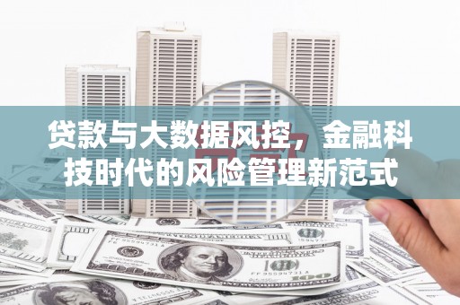 巍山贷款与大数据风控，金融科技时代的风险管理新范式