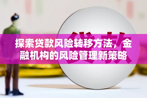 巍山探索贷款风险转移方法，金融机构的风险管理新策略